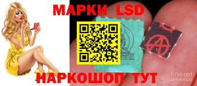 apvp Краснодар